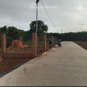Bán đất thổ cư-sổ riêng ở Đồng Nai Dt 100m2- Giá 1ty1