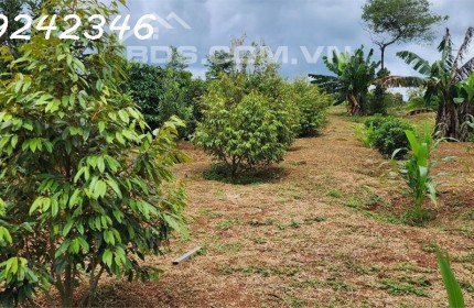 Đất Vườn Cafe - Mặt Tiền Nhiều - Cần Tiện ích, Chợ, Trường Học