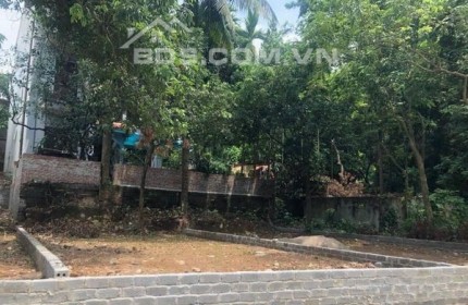 cần bán lô đất tại xã đại yên chương mỹ hà nội dt72m. gần trúc sơn phương tiện đi lại tấp lập gần đương anh trỗi  dành cho quý anh chị và nhà đầu tư