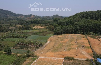 Đất Yên Bình, Thạch Thất, 8000m2 đất ở 1400m2, gần đại lộ Thăng Long, giá chỉ 5tr/m2. LH 0984.23.5555