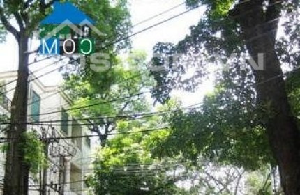 Cho thuê nhà mặt phố Lương Ngọc Quyến 70m2x2tầng