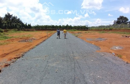 Chốt ngay vàng về liền tay