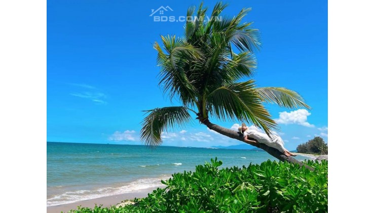 Căn hộ biển thuộc dự án Thanh Long Bay Phan Thiết Bình Thuận chỉ từ 1,9 tỷ, phù hợp ở và đầu tư