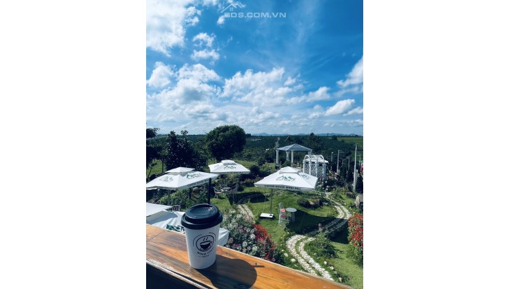 Lộc An 26 và Windhill, đất đầu tư gái tốt với nhiều ưu điểm, thổ cư sổ cầm tay yên tâm ngay