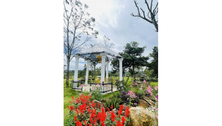 Lộc An 26 và Windhill, đất đầu tư gái tốt với nhiều ưu điểm, thổ cư sổ cầm tay yên tâm ngay