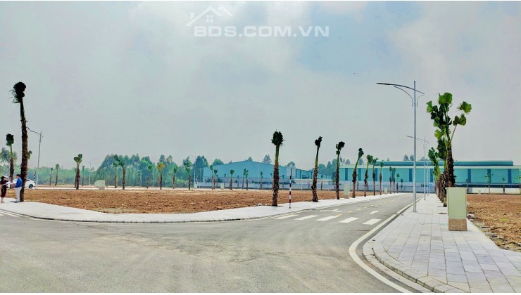 Bán đất xây Liên kề mặt đường Nguyễn Tất Thành - Dự án Việt Trì Spring City - Phú Thọ