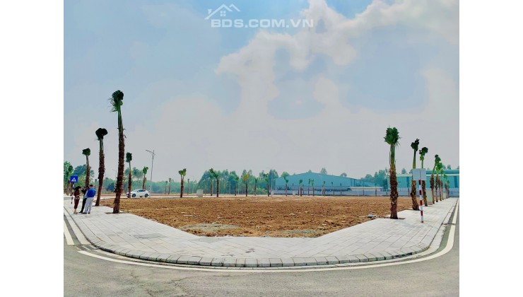 Bán đất đấu giá mặt đường Nguyễn Tất Thành, Cạnh bệnh viện Lạc Hồng xây Shophouse kinh doanh