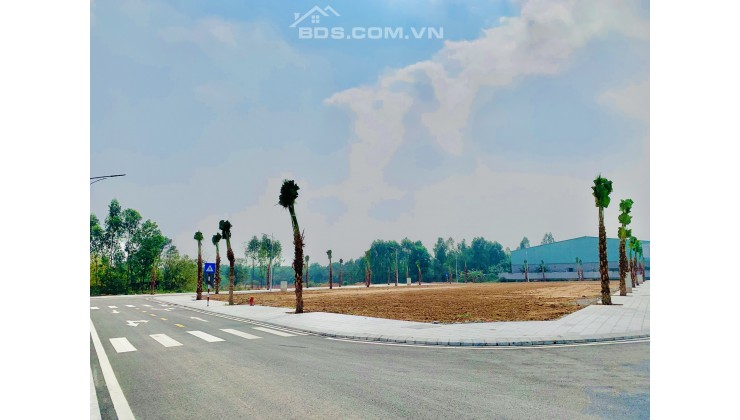 Bán đất xây Liên kề mặt đường Nguyễn Tất Thành - Dự án Việt Trì Spring City - Phú Thọ