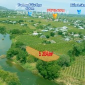Bán Gấp 2 xào mặt tiền Sông Phan, Hàm Thuận Nam, Bình Thuận. Giá Rẻ 1,6 tỷ