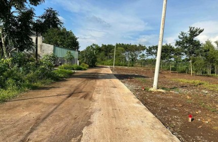 CẦN BÁN 2500M2 ĐẤT Ở TRONG THỊ XÃ NGAY CHỢ DÂN ĐÔNG TIỆN MỞ QUÁN. GIÁ 250 TRIỆU