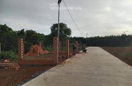 CÒN VÀI SỔ 500M2 GIÁ 289TR