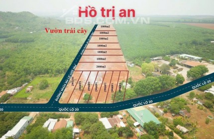 Đất nền mặt tiền quốc lộ 20