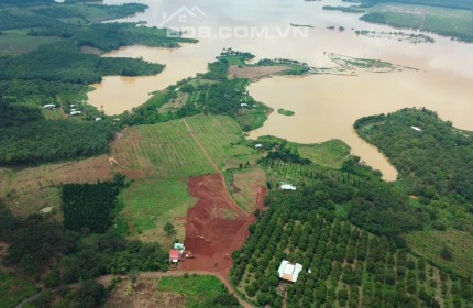 Sản Phẩm view hồ sinh thái giá tốt nhất tại thời điểm này chỉ 299tr sở hữu ngay được lô đất 1000m2