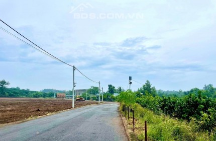 Đất dân ngộp cần bán, trung tâm chợ Hưng Lộc, cách ngã 3 Dầu Giây 3km