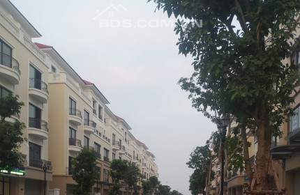 Shophouse  Khu San Hô 19- 80m2 Bán Cắt Lỗ Gần 3 Tỷ, Giá Chỉ Còn 11.5 Tỷ