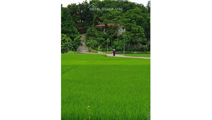 Bán Mảnh đất Vườn ở Đại Lai 1, Phú Xuân, Tp.Thái Bình