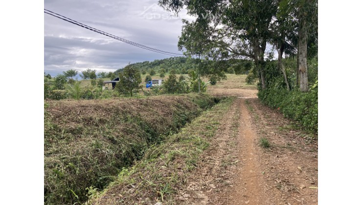 ✅Bán Lỗ Chỉ 281.000đ/m2 Đất CLN Đang Trồng Sầu Riêng Tại Huyện Tân Phú, Đồng Nai