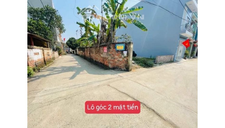 Chính chủ bán lô góc 2 mặt tiền 85m2 sổ đỏ nét căng nằm vị trí đắc địa nhất khu Tân Bình Xuân Mai