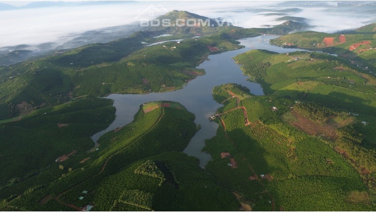 Đất Sào View Hồ ĐakLong Thượng, Diện Tích Mỗi Lô 1000m2, Giá Công Chứng Chỉ 900 triệu/lô, SHR