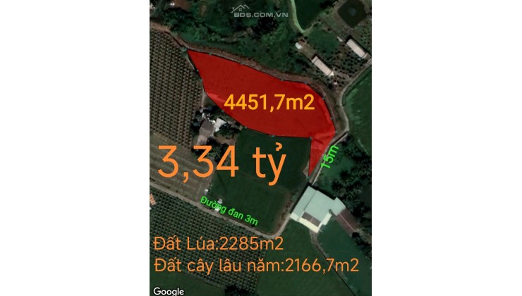 Bán lô đất lúa vườn xã Đức Tân  chuyển thổ giá 3,34 tỷ