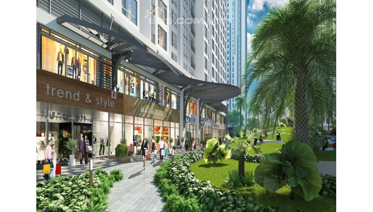 Bán Shophouse chân đế siêu hiếm rộng gần 160m2 tại Dự án Ecolife Tây Hồ, Quận Tây Hồ, Hà Nội