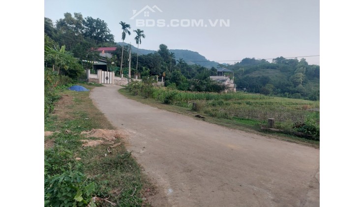 Cần bán lô đất tại đội 1 nay là tổ 5 phường Thống Nhất, thành phố Hòa Bình.