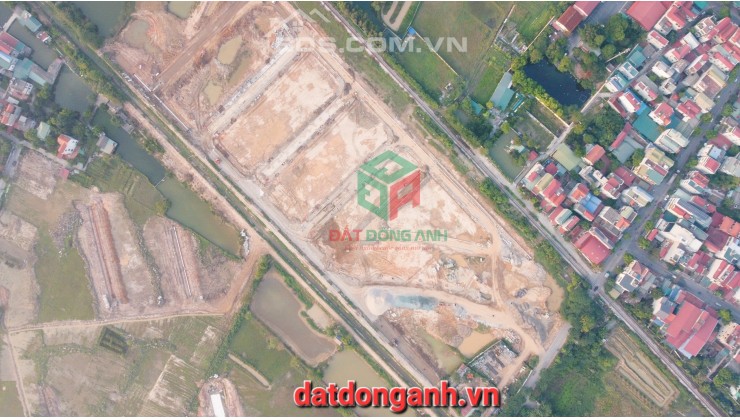 Đấu giá Tây Đản Dị Đợt 1 ngày 11/11/2023