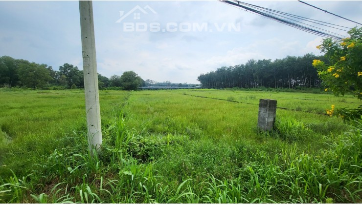 Bán lô đất mặt tiền đường Nguyễn Thị Rành, An Nhơn Tây , Củ Chi .