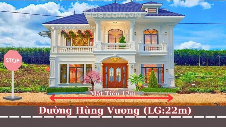 Lô Biệt Thự Siêu VIP tại Trung Tâm Phú Lộc - Krổng Năng chỉ 1tỷ1XX