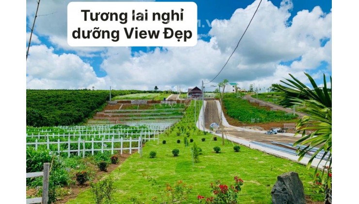 Cần bán gấp 500m2 giá 235 triệu có 200 thổ mặt tiền nhựa18m