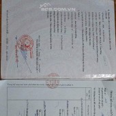 CHÍNH CHỦ CẦN Bán Nông Nghiệp- Đường Mai Trúc Loan, Bảo Lộc, Lâm Đồng