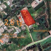 Bán lô đất thổ vườn gần Quốc Lộ 50B giá 2,5 tỷ