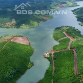 Bán Gấp Lô Đất Sào View Hồ ĐakLong Thượng, DT 1009m2, Giá Chỉ 940 Triệu, Mặt Tiền 18m, SHR