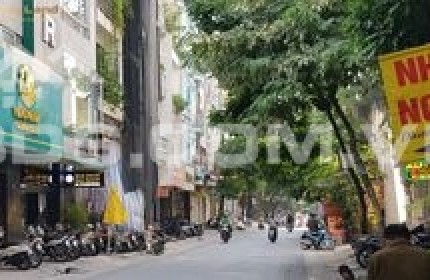 Bán nhà Trần Quang Diệu, Đống Đa 36 m, 5 tầng,vỉa hè, ôtô Kinh doanh, giá 11tỷ