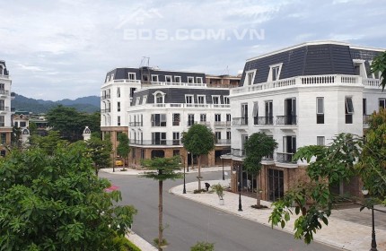 Chiết Khấu CIC LUXURY LÀO CAI