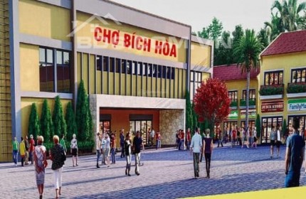 Bán đất nền nhà ở Bích Hòa Thanh Oai giá đầu tư