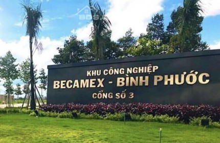 Đất Bình Phước giá rẻ chỉ 350 triệu