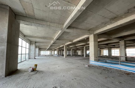 Cần cho thuê 1000 - 3000m2 KD Ciname/Anh Ngữ/gym tại Central Premium Quận 8 giá chỉ từ 375k/m2