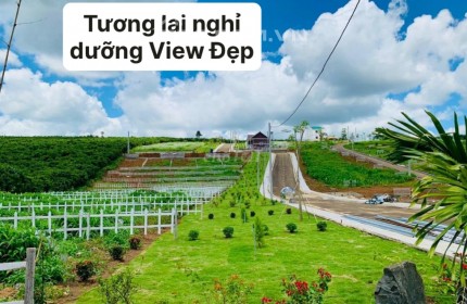 Cần bán gấp 500m2 giá 235 triệu có 200 thổ mặt tiền nhựa18m