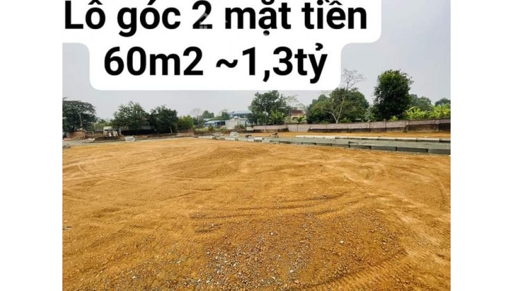 Lô góc 2 mặt tiền 60m2 giá nhỉnh 1,3 tỷ ,dân cư đông đúc, tiện ích xung quanh đầy đủ