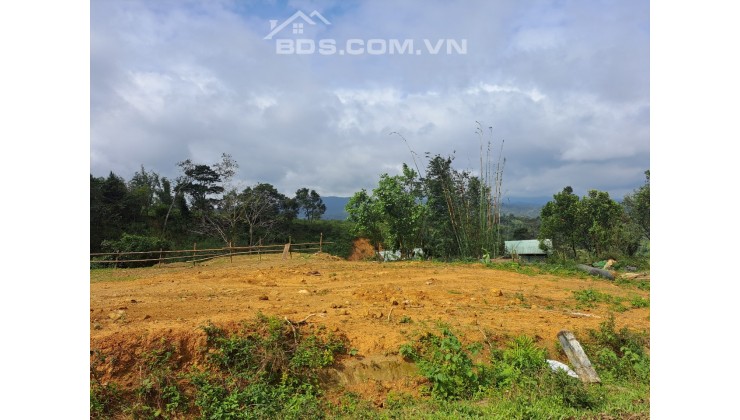 CƠ HỘI CHO CÁC NHÀ ĐẦU TƯ SỞ HỮU ĐẤT MĂNG ĐEN KHU DU LỊCH QUỐC GIA