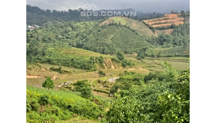 CƠ HỘI CHO CÁC NHÀ ĐẦU TƯ SỞ HỮU ĐẤT MĂNG ĐEN KHU DU LỊCH QUỐC GIA