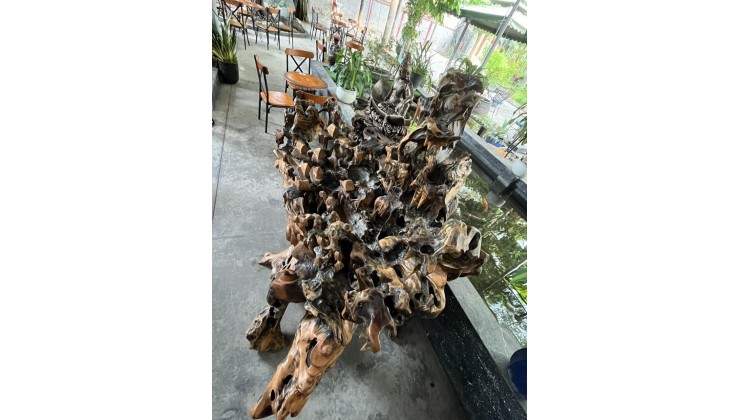 Cần bán gấp DT 3  mẫu tại xã Kim Tân , huyện La Pa, tỉnh Gia Lai
