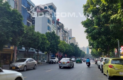 Bán Nhà Hoàng Quốc Việt, 97m2, Phân Lô, 2 Thoáng