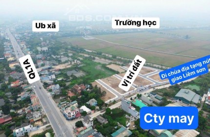 Bán đất kinh doanh xã Thanh Hương-Thanh Liêm cạnh QL1A