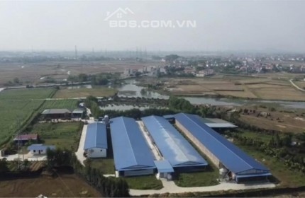 Bán trang trại - 35.000m2 đất CN gần ngay Hà nội, đầu tư tốt giá 2x tỷ