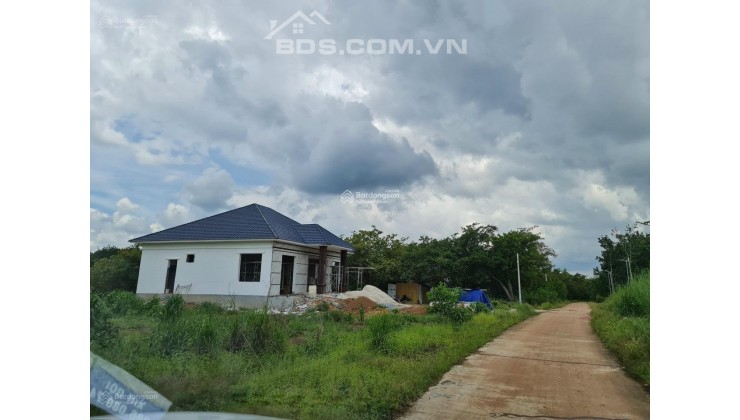 Bán đất thổ cư giá ngộp chính chủ mặt tiền đường nhựa 12m tại xã Tân Phước - Đồng Phú