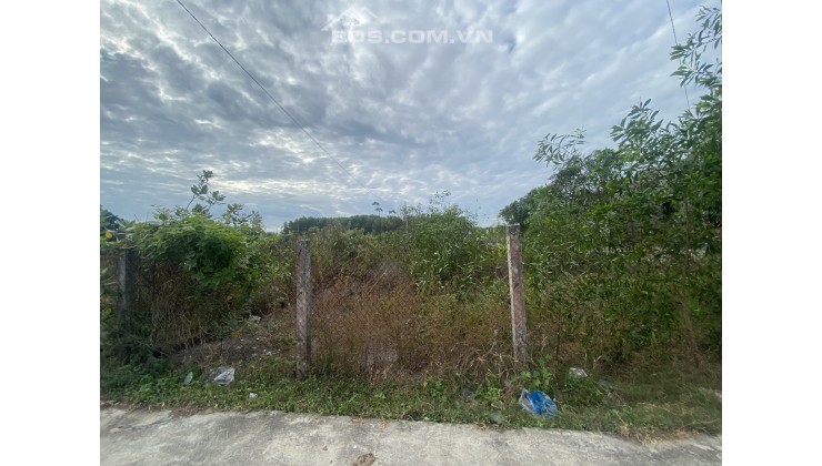 Bán Gấp đất thổ cư gần biển Cam Bình thị xã LaGi 8x35m xã Tân Phước. sổ riêng, Giá NGỘP 1,2 TỶ