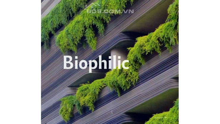 Lịch thanh toán đột phá của Elysian Biophic đầu tiên thủ đức.