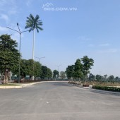Chính chủ cắt lỗ 100 tr để bán mảnh đất Diện tích 56m2 thôn Đa Tiện Xuân Lâm Thuận Thành
